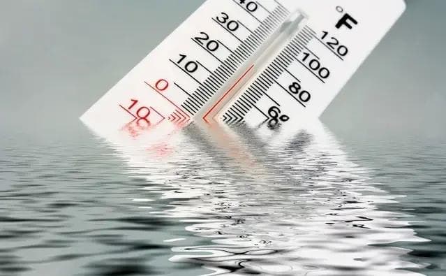 1699087418123436.jpg 2.jpg