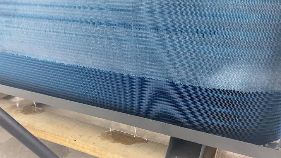 1699087562701227.jpg 3.jpg